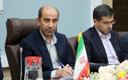 نرخ بیکاری در دشتی بالا است