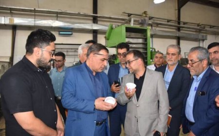 تسهیل صدور مجوزها و حمایت مالی از تولیدکنندگان در فارس