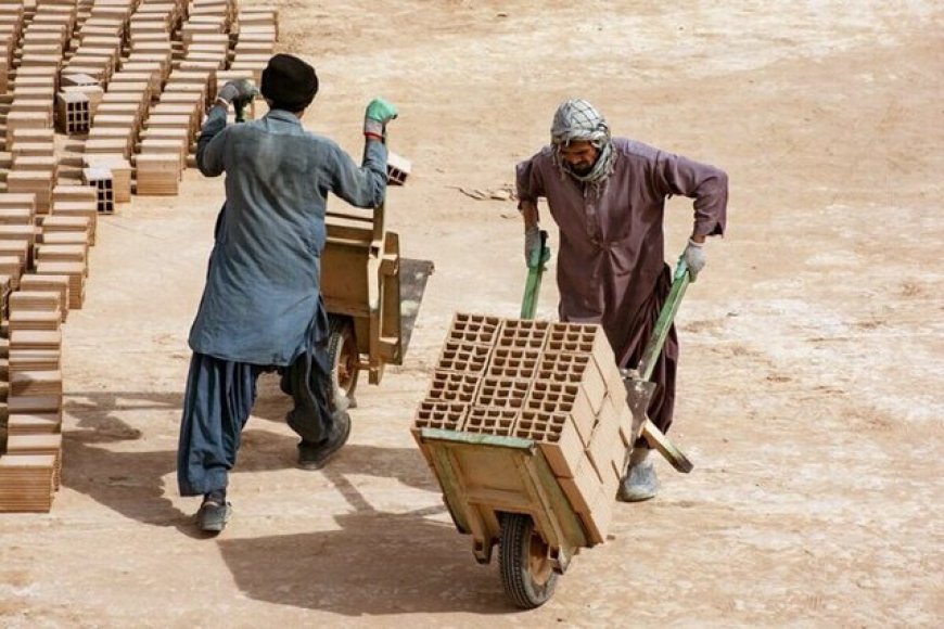 پلمب و ارجاع به دستگاه قضایی در انتظار خدمات دهندگان به اتباع خارجی غیرمجاز
