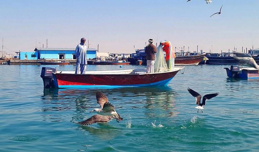 عربستان ۱۲ صیاد استان بوشهر را آزاد کرد