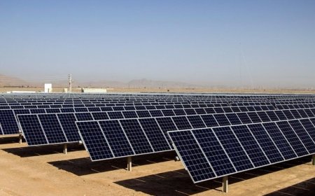 واگذاری اراضی ملی استان بوشهر برای ساخت نیروگاه خورشیدی
