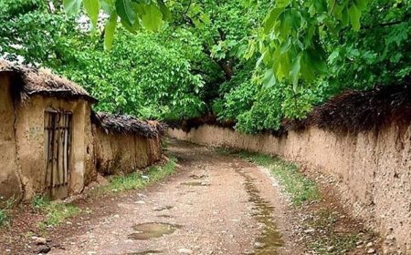 شیراز در مسیر تازه برای حفظ باغ‌های قصردشت/ تأکید بر مشارکت مردمی و ارزش‌آفرینی اقتصادی