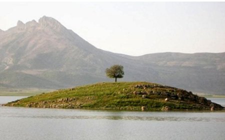 دومین سند تالاب فارس به نام محیط زیست صادر شد