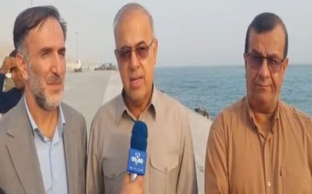 استفاده به‌جای آشوری استاندار هرمزگان از عنوان شهرستان گاوبندی برای سفر به غرب هرمزگان