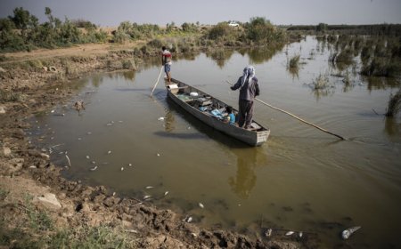 بحران در تالاب‌های خوزستان؛ ورودی آب کمتر از نیاز زیست‌محیطی