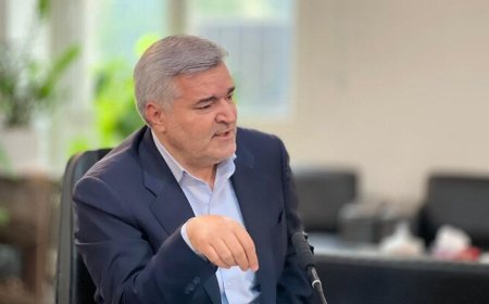 تأمین ۹۷ درصد درآمدهای عمومی فارس با اتکای به مالیات‌های پایدار