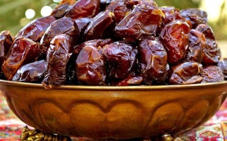 تولید ۳۷۰ هزار تُن خرما در فارس