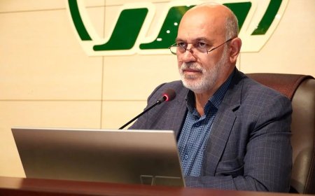 اصلاح آیین‌نامه الحاق روستاها در دستور کار شورای شهر شیراز