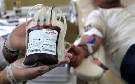 انتقال خون بوشهر فراخوان کمک داد