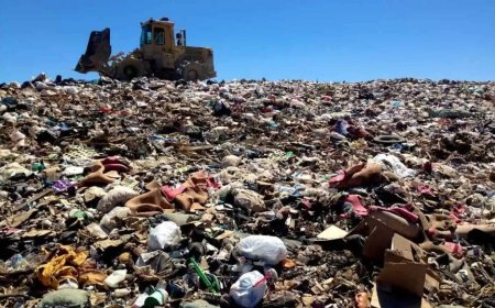 آغاز احداث سایت جدید پسماند بوشهر