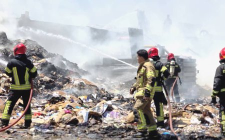 آتش‌سوزی گسترده ۲۹ مرداد در شرق شیراز