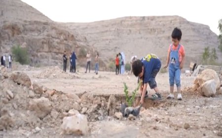 همت لارستانی‌ها برای سرسبزی تنگ خور