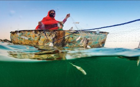 مجوز صید برای  بانوان صیاد جزیره هنگام