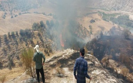 آتش سوزی روستای بی بی زلیخایی در کهگیلویه مهار شد
