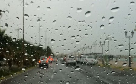 رگبار باران در فارس و هرمزگان