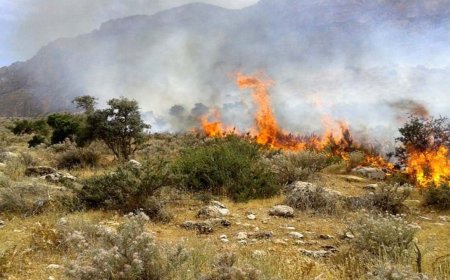 آتش سوزی در جنگل ها و مراتع اقلید