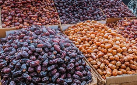 ارسال روزانه یک تن خرما از پست بوشهر به نقاط مختلف کشور