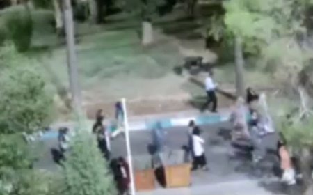 تحصن دانشجویان شیراز، شأن دانشجو بالاتر از قطعی آب و برق است