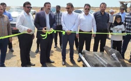 اولین مزرعه صدف خوراکی استان بوشهر به بهره برداری رسید