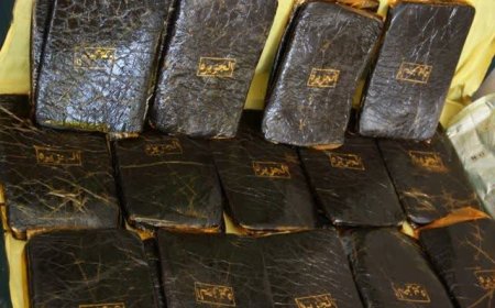 دستگیری قاچاقچیان مواد مخدر در بوشهر