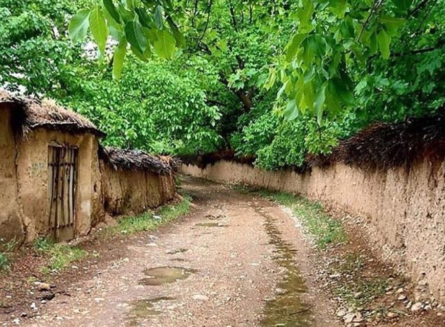 شیراز در مسیر تازه برای حفظ باغ‌های قصردشت/ تأکید بر مشارکت مردمی و ارزش‌آفرینی اقتصادی