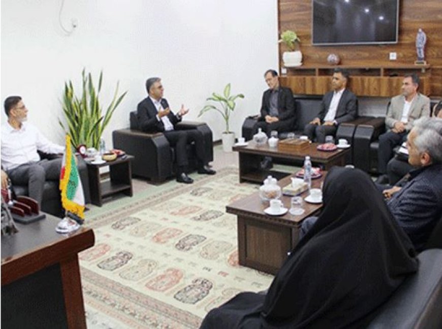اجرای سطوح ۲ و ۳ طرح پزشک خانواده در دشتستان