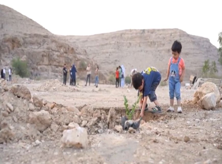 همت لارستانی‌ها برای سرسبزی تنگ خور