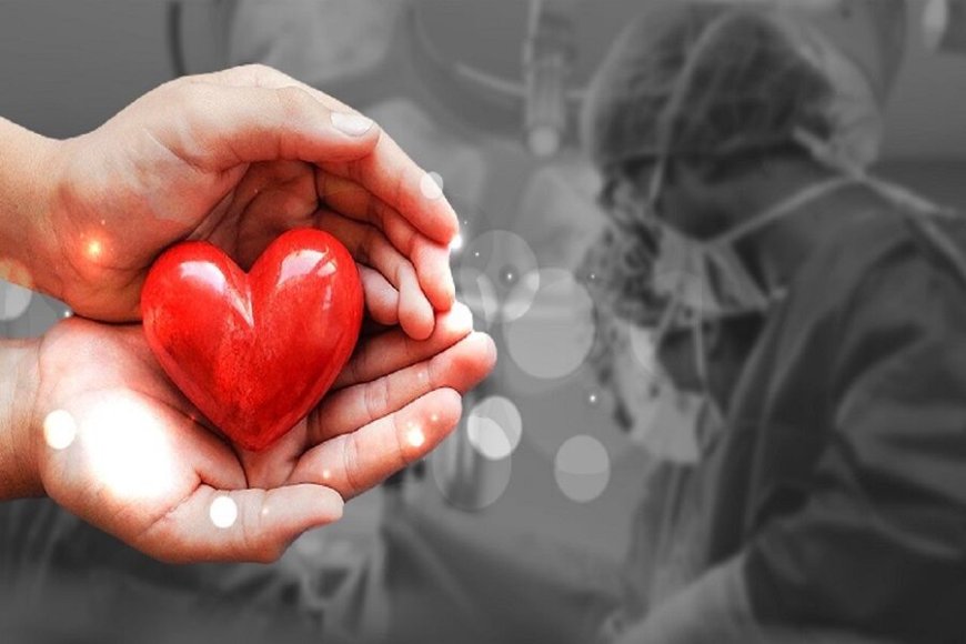 اهدای عضو پاکبان فسایی جان بیماران را نجات داد