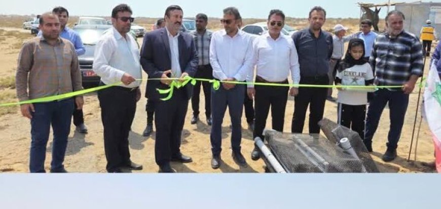 اولین مزرعه صدف خوراکی استان بوشهر به بهره برداری رسید