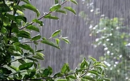 افزایش رطوبت و شروع بارش‌های موسمی در فارس