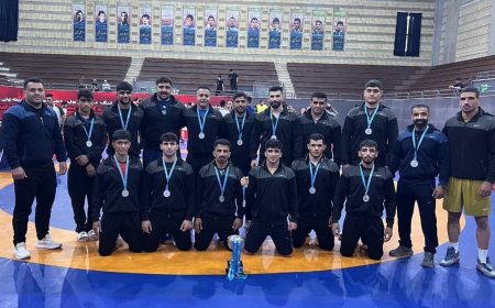 صعود تیم کشتی فرنگی فارس به لیگ برتر