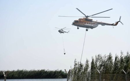 نجات جان تکنسین‌های نفتی در تالاب شادگان
