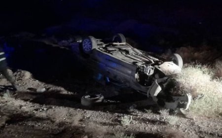 عبور گراز از جاده موجب واژگونی خودرو و فوت یک خانم باردار در بستک شد
