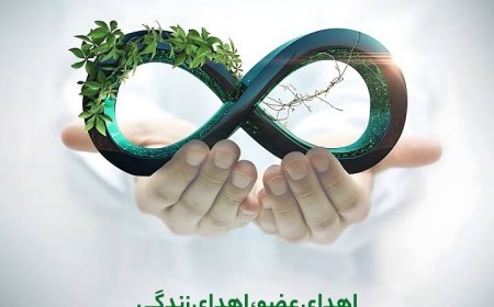 اهدای اعضای بدن بانوی 39 ساله لامردی به بیماران نیازمند پیوند عضو 