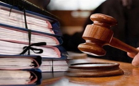 رهاسازی لاشه مرغ‌ها در نهر کشاورزی؛ محیط زیست شوش وارد عمل شد