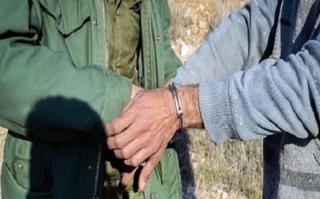 چهار شکارچی متخلف در کهگیلویه و بویراحمد دستگیر شدند