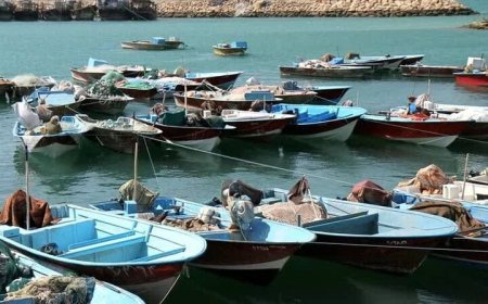 ساماندهی قایق‌های فاقد هویت در بوشهر
