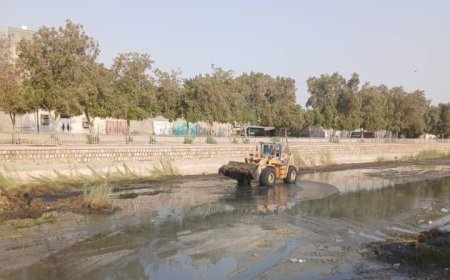 خور گور سوزان بندرعباس پاکسازی شد