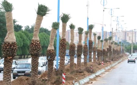 نخل کاری در اهواز ادامه دارد