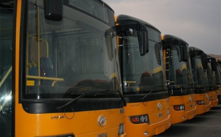 بوشهر صاحب ۱۰ اتوبوس جدید شد