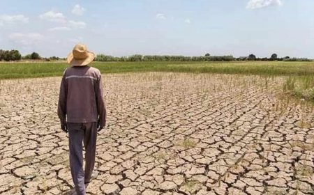 تأخیر بارش‌ها در کهگیلویه و بویراحمد؛ آغاز بارندگی‌ها از نیمه آبان