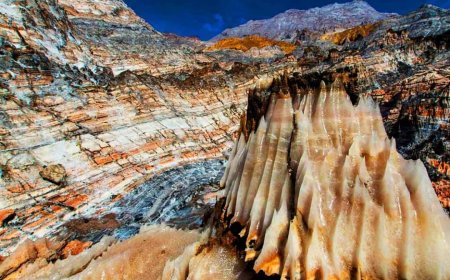 صدور دستور ویژه قضایی برای حفاظت از محیط زیست قشم