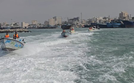 آغاز طرح دریابست صید میگو در هرمزگان