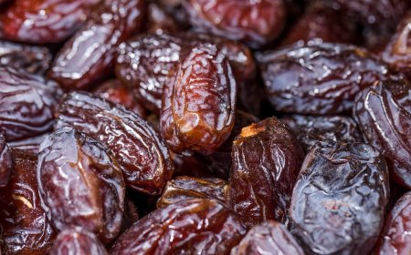 برداشت ۸۰ هزار تن خرما در شادگان تا کنون