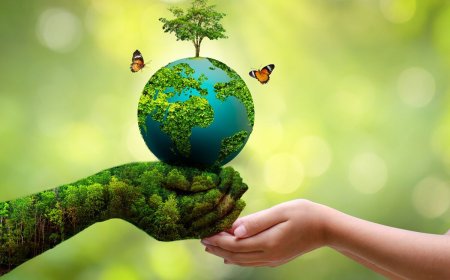 ۱۰ اثر موسیقایی و سینمایی محیط زیستی در بوشهر آماده رونمایی است