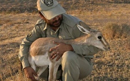 مناطق حفاظت شده کهگیویه وبویراحمد نیازمند 257محیط بان