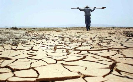 بارندگی در فارس ۴۳ درصد کاهش یافت