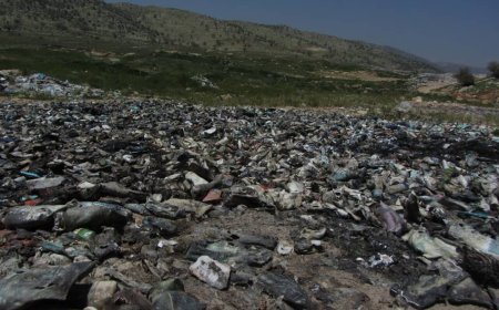 دفع سنتی زباله در یاسوج زندگی شهروندان را تهدید می‌کند