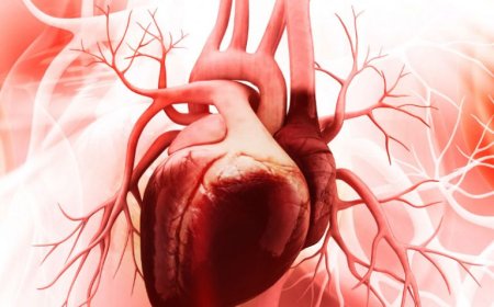 متخصص قلب: افراد سالم هر پنج سال یک‌بار چکاپ قلب انجام دهند