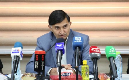 میرزاده: ۳۶۸ محل مشاهده پشه آئدس در بندرعباس پاکسازی شد